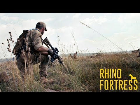 Video: S. Afrika Rhino Ov Auksionu Mübahisəyə Səbəb Oldu