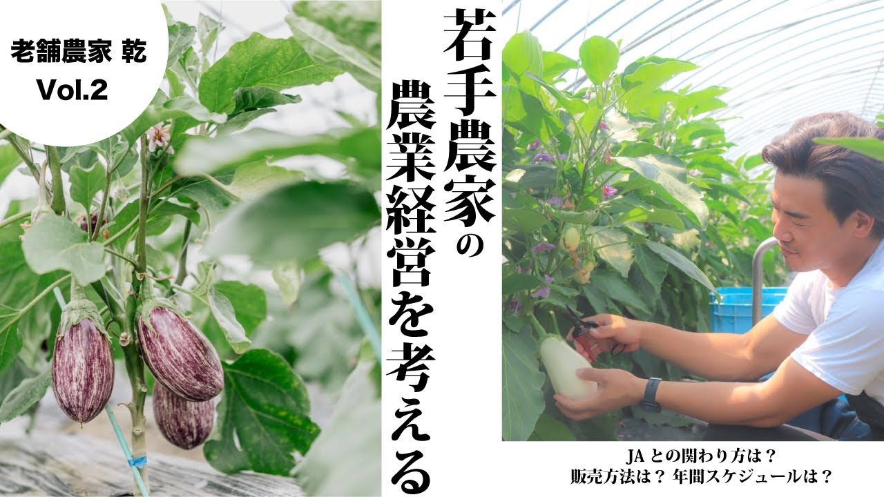 若手農家3人で考える上手な農業経営！奈良県広陵町なす農家「老舗農家