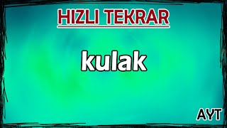 Kulak - Duyu Organları - Hızlı Tekrar