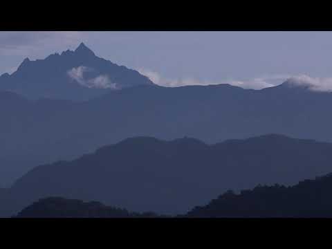 A Victory for the Rights of Nature at Los Cedros Reserve, Ecuador