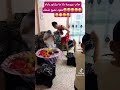 عنابي مقود هبل باباه اكسبلور وهراني دويتو سطيف ضحك تيك توك لايك  متابعه