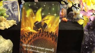 ♉️Taurus | Messages From Heaven | Watch For Shooting Stars