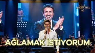 Emrah - Ağlamak İstiyorum Modern Arabesk Ai Cover By Anadolu Vibes24