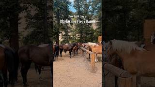 This ranch captured my heart 🤎🌲 #DudeRanch #TravelDiaries #TravelVlog