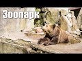 Калининградскому  Зоопарку - 122 года!  |  Kaliningrad Zoo