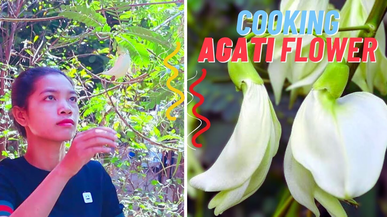 Agati Flower Recipe: A Delicious and Nutritious Dish