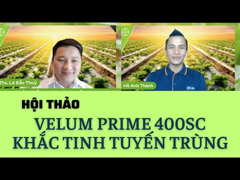 Video BAYER | HỘI THẢO: VELUM, KHẮC TINH TUYẾN TRÙNG HẠI CÂY... - youtube