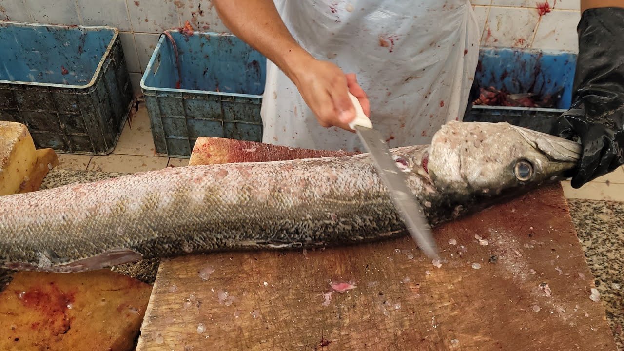 Whole Juvenile Barracuda Fish Cutting & Filleting/ Fastest Juvenile Barracuda Fish Cutting Skills