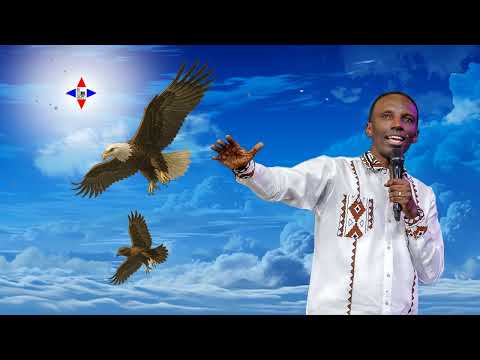 JE SUIS NE T'A PAS ABANDONNE by Chris NDIKUMANA