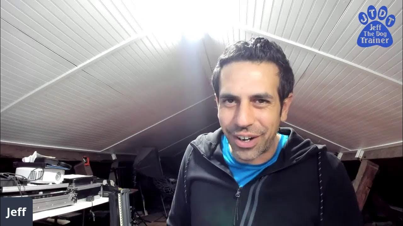 What to do when your dog starts shredding the pee pads? YouTube