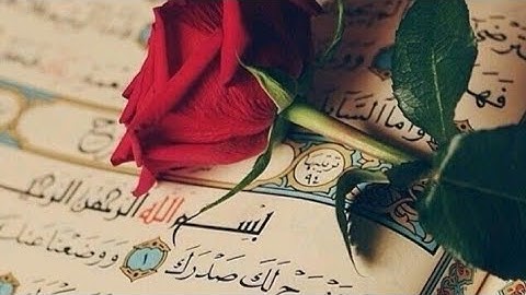 انما بذكر الله تطمئن القلوب 🤲 🤲 🤲    10 ساعات قرآن كريم 📖🕰️بأحسن صوت يريح النفوس❤️🧡💜