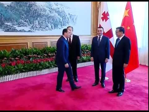 შეხვედრა ჩინეთის პრემიერ–მინისტრთან