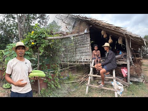 បេះ​បន្លែ​ទៅជូនគ្រួសារ​កម្សត់​មួយ​ អាណិត​អាសូរ​ណាស់​ | give veggie to a poor family 