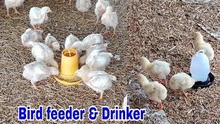 छोटे फीडर और ड्रिंकर को कैसे यूज करे | How to use a small feeder and drinker