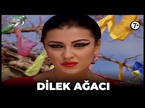 Dini Film - Dilek Ağacı