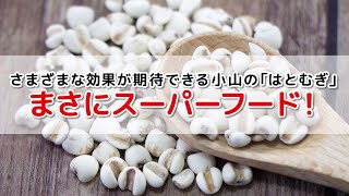 小山の「はとむぎ」で健やか生活　～健康長寿100歳を目指して～