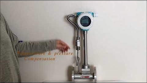 Vortex flow meter- high temperature steam