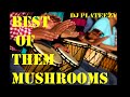 Best Of Them Mushrooms Mix By VDJ RIHOHO Mp3 Song