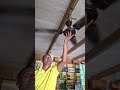 Fan Smok Sound #exprement #fan #ceilingfanrepair