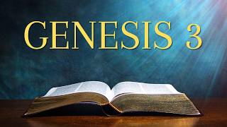 Genesis 3 – Audio Bible (NIV) | Read Along with Captions