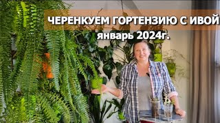 : !      |     2024
