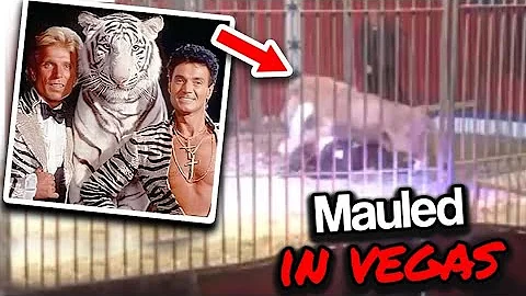 Vegas Performers Siegfried And Roy Unexpected Last...