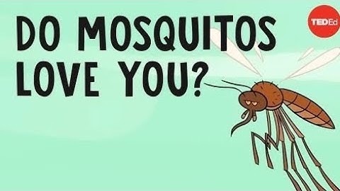 Do mosquitos actually bite some people more than others? - Maria Elena De Obaldia