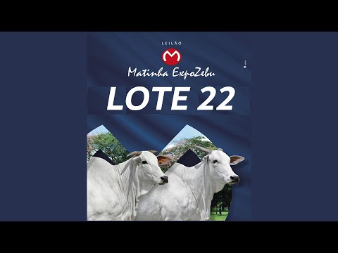 LOTE 22