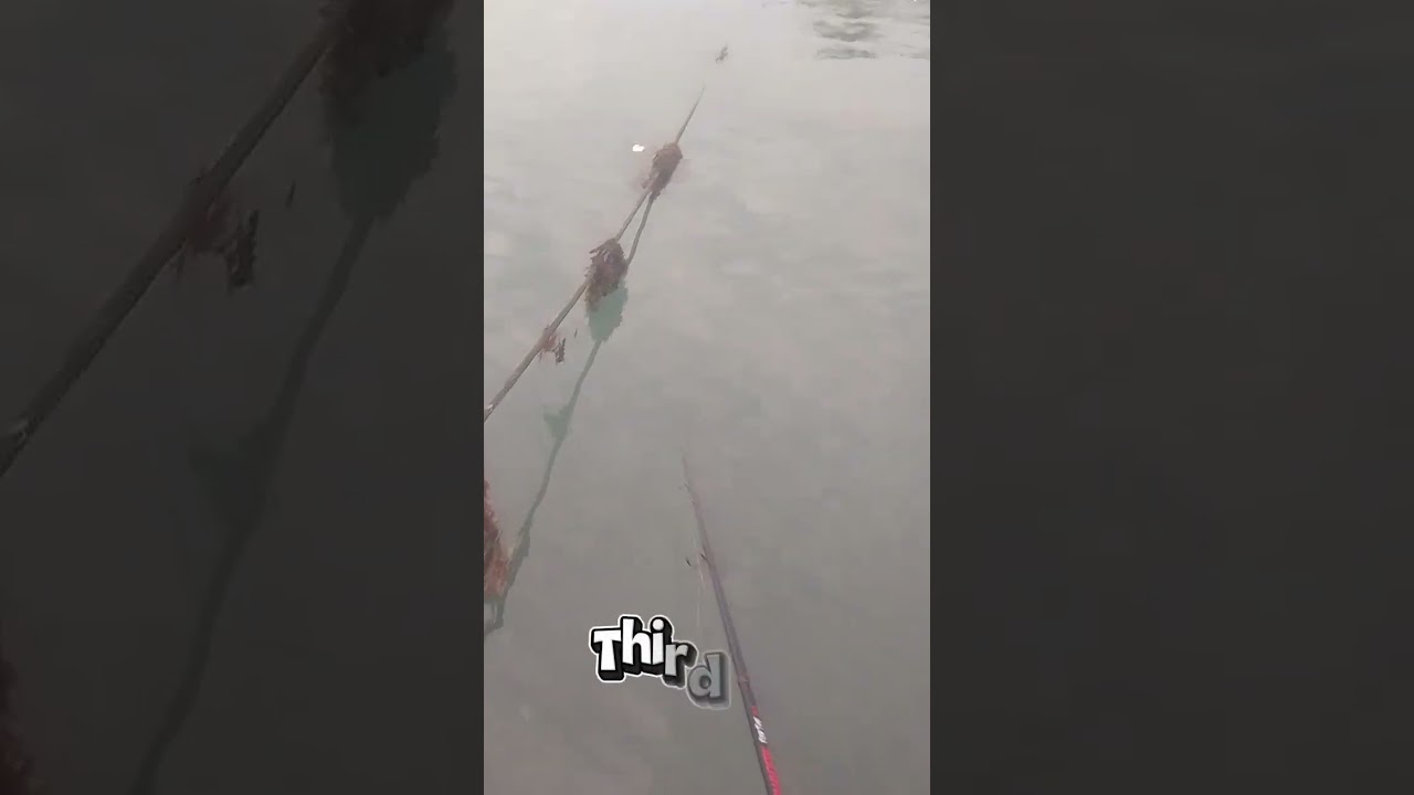 new unlock mga mastah 😁🎣 