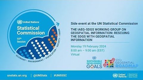 The IAEG-SDGs Working Group on Geospatial Information: Rescuing the SDGs with Geospatial Information