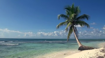 Relaxing 3 Hour Video of A Tropical Beach with Blue Sky White Sand and Palm Tree