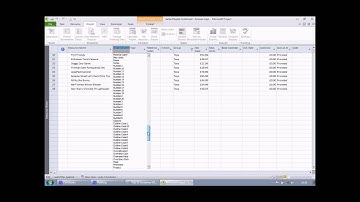 Microsoft Project - Custom Fields 1 of 4: Simple Fields and Drop Lists