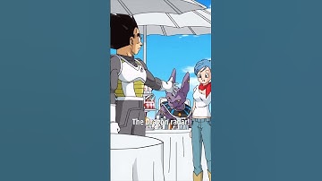 Beerus Makes Vegeta Go Fetch🤣