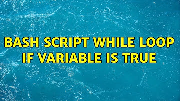 bash script while loop if variable is true (2 Solutions!!)