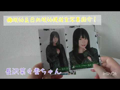 【欅坂46】提供生写真紹介！