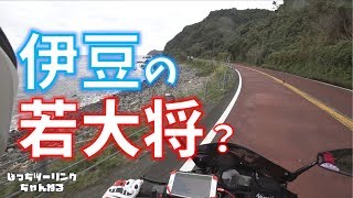 【伊豆ぼっちツーリング】伊豆の若大将(*´з`)【motovlog | モトブログ】