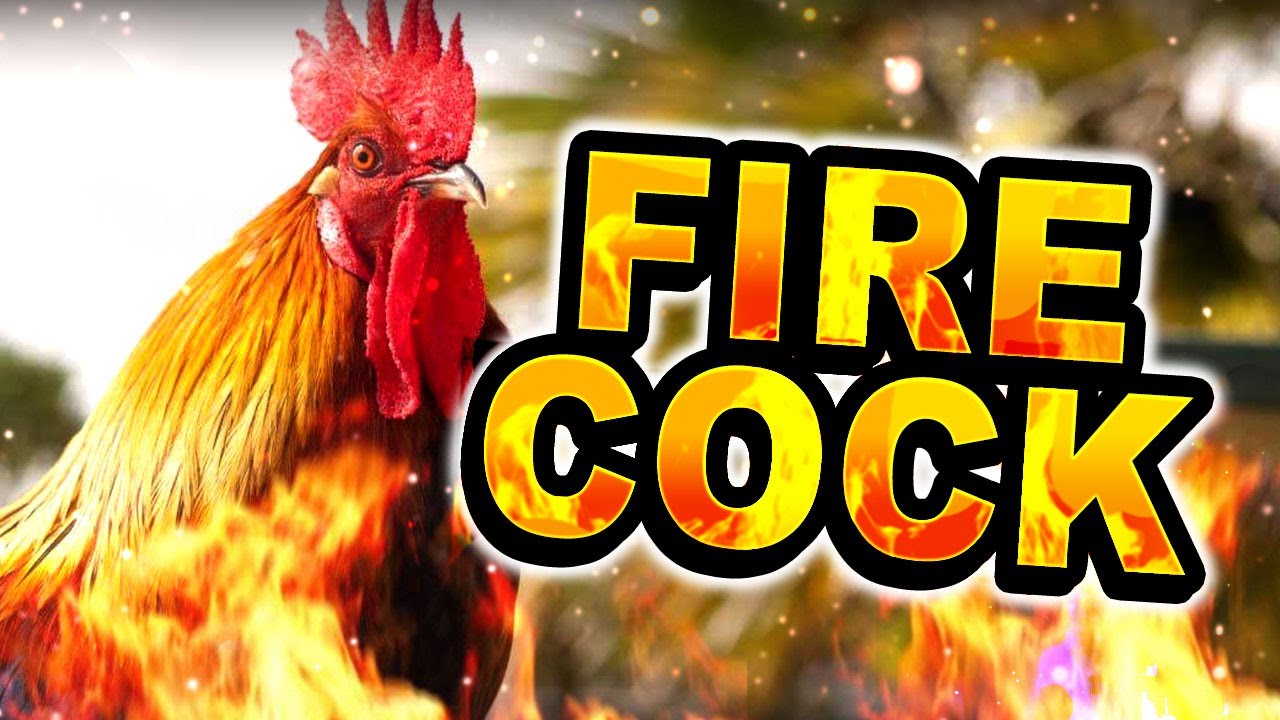 Fire Cock Pulls! The Quest for a Flaming Rooster! WoTV! War of the
