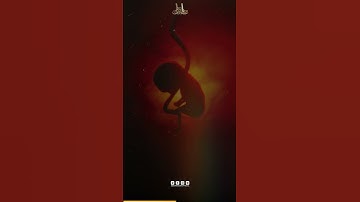 Surah Al-Qiyamah Verse 37-40 | سورة القيامة الآية 37-40 | Abdun Nasir Khan