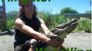 Alligator Wrestling II