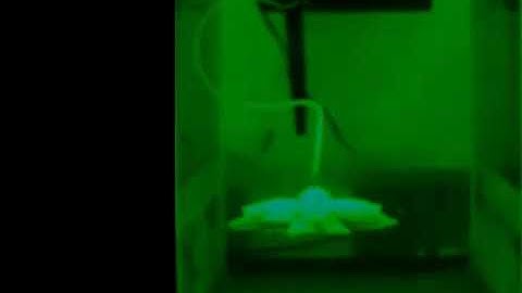 Fludojelly: robotic Jellyfish with SPC (soft pneumatic composite) actuators at 50 psi.