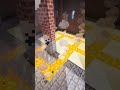 Minecraft einfacher Bautipp [Glockengieserei] #Shorts