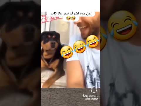 قمت التنمر ههههه اكسبلور Whowillbemylifepartnerta لايك