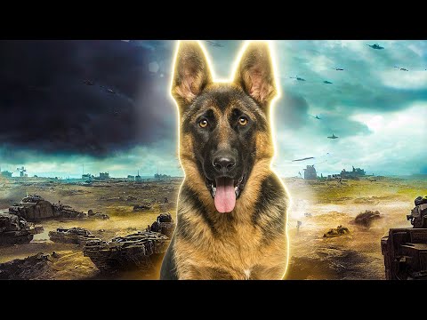He saved 10,000 soldiers in World War I