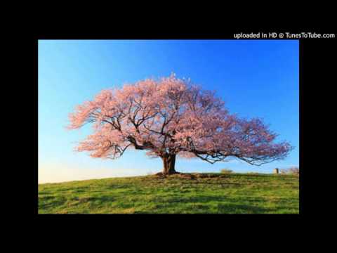 桜ソングメドレー　完全版
