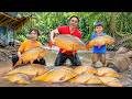 Catching Giant Fish with Forest Leaves and Cooking in the Wilderness | Farm Life , SURVIVAL ALONE
