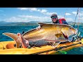 DEEP SEA GIANT Caught while Offshore Kayak Fishing in Panamá | Field Trips with Robert Field