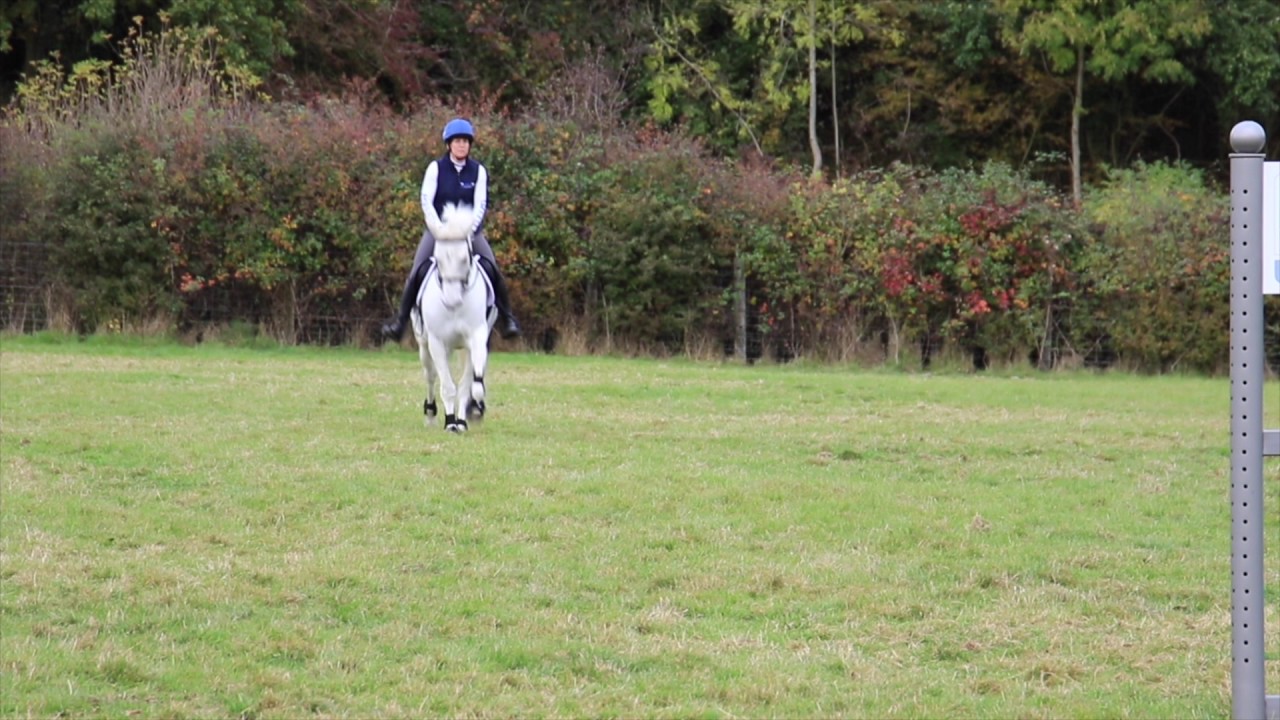 Izzy Jump In BRC KBIS Izzy Taylor Show Jumping Training - Rider Position - YouTube