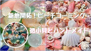 新地開拓！ビーチコーミング ✤ 微小貝とハンドメイド