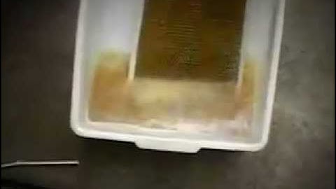 How to completely clean your dirty rangehood filter in 5 minutes