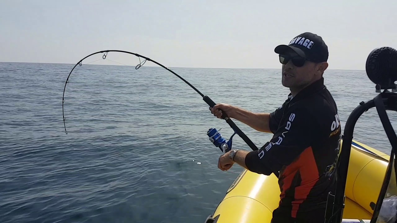 Thons sur Chasses en Atlantique